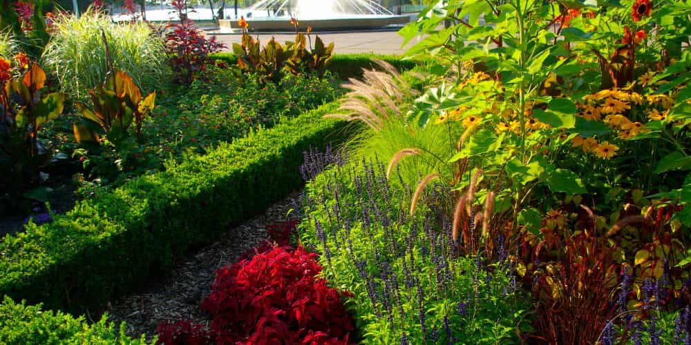 trinciature e bonifiche del verde green service roma